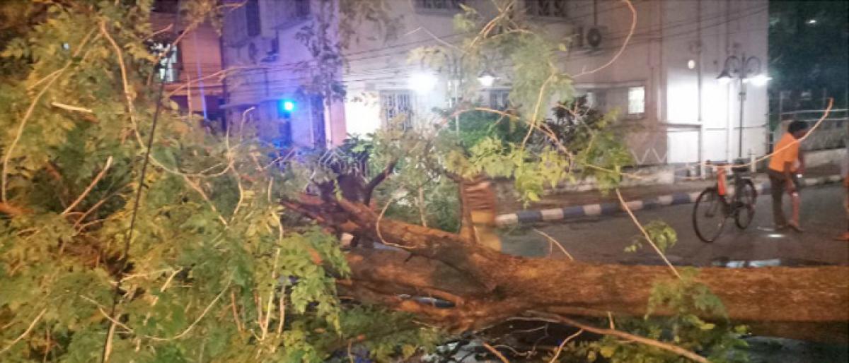 8 dead, several injured as massive storm hits Kolkata, suburbs