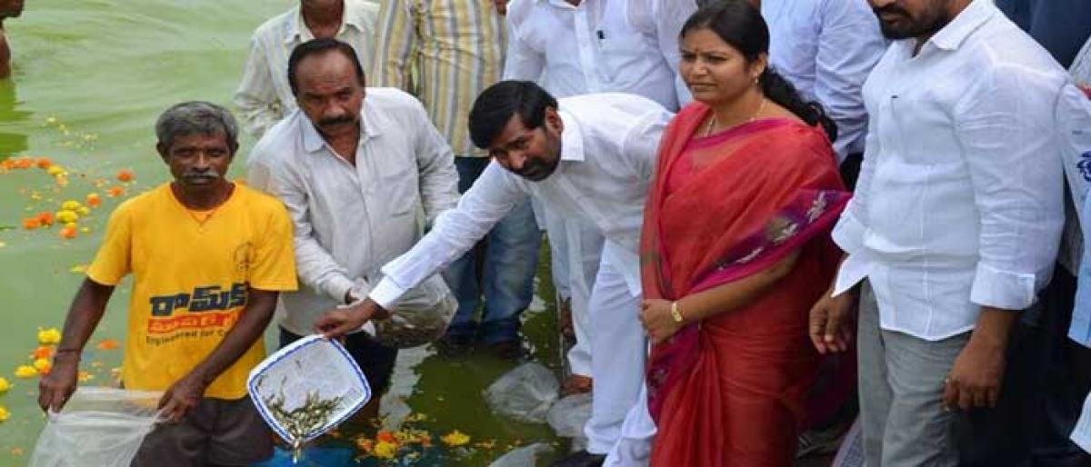 5cr fish seedlings to be released in 2017-18: Jagadish Reddy