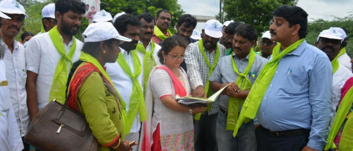 Green Brigades formed to protect planted saplings