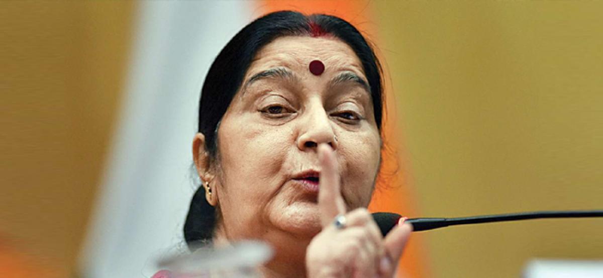 Sushma Swaraj calls for development, South-South cooperation at IBSA summit