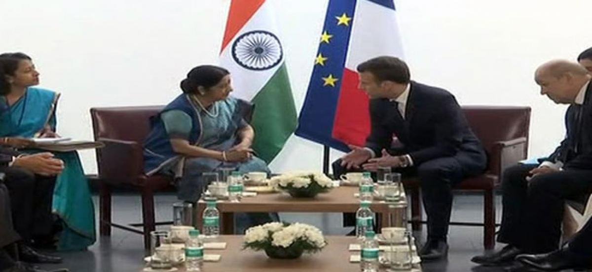 French President Macron meets Swaraj