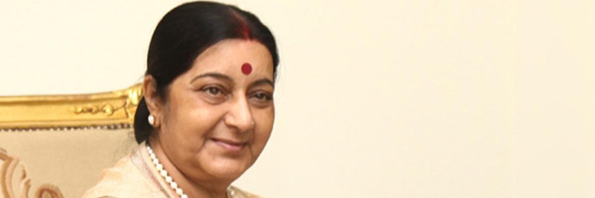Swaraj holds talks with counterpart from Iceland