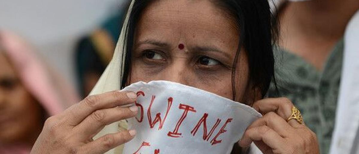 685 Swine flu cases reported