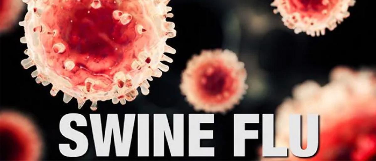 Man dies of swine flu in Chittoor