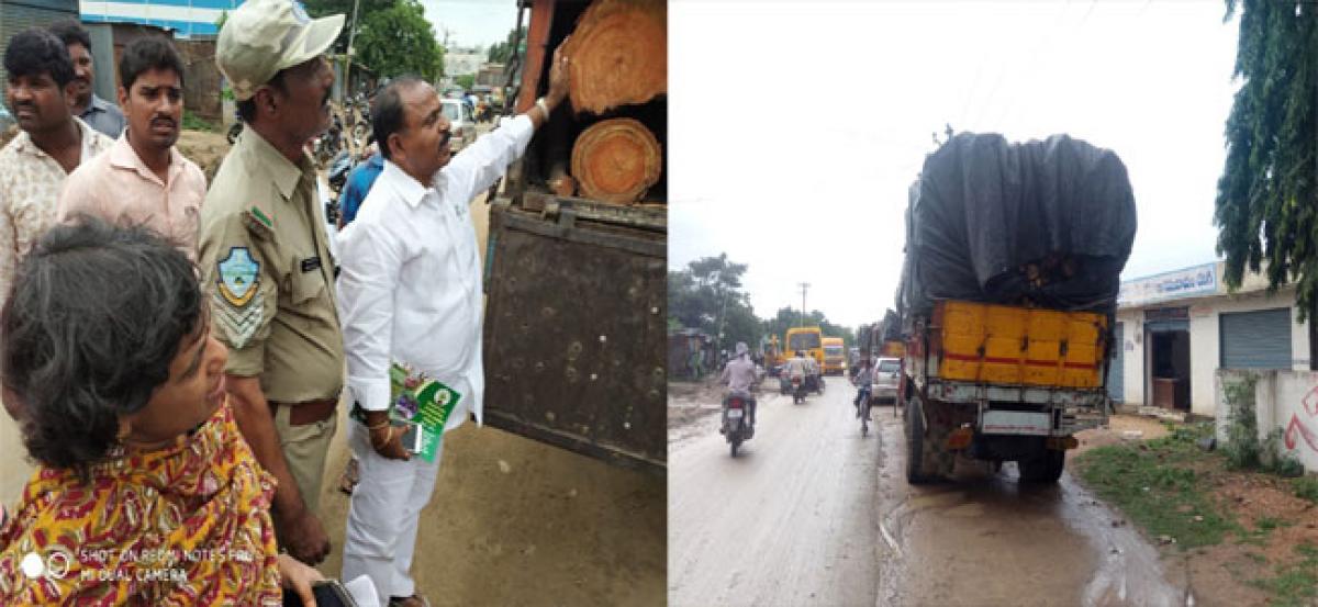 Timber smuggling: MLA blames forest officials