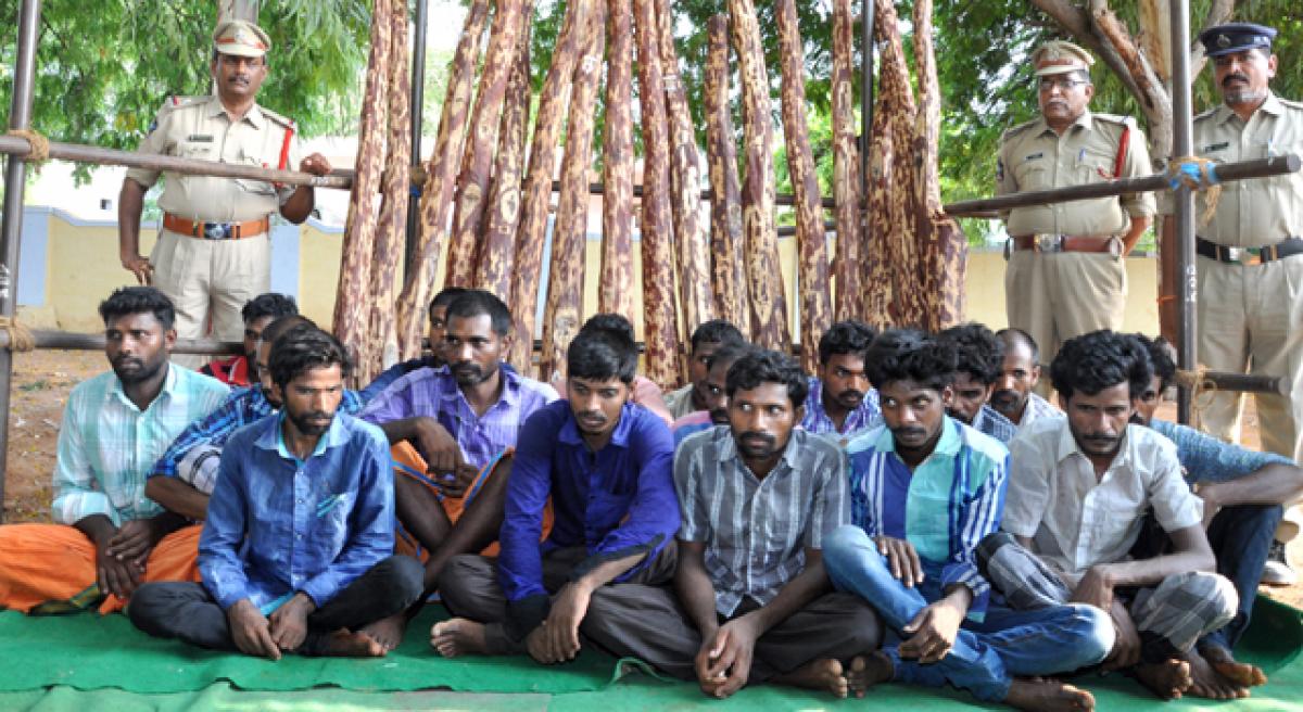 Police nab 17 TN Tamil Nadu woodcutters
