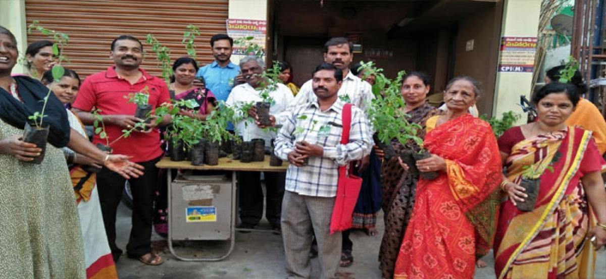 T Urban Forum distributes saplings