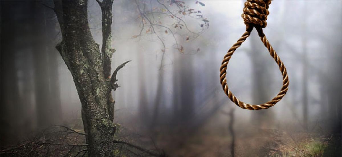 Man found hanging from tree