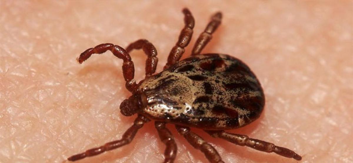 Ticks are more likely to attack blood Group A