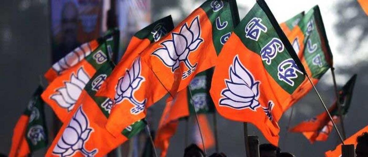 BJP can’t expect cakewalk in 2019 elections