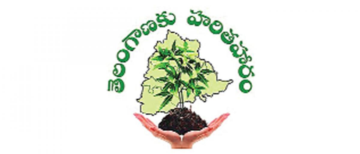 2 crore saplings planted in 3 years in Hyderabad