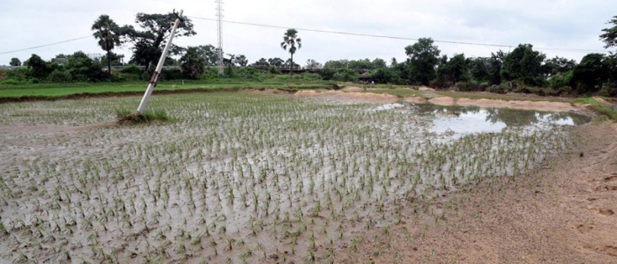 Respite from rain in Telangana