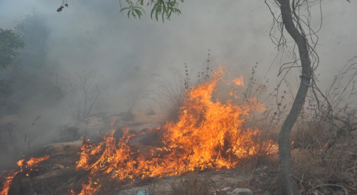 Tirumala forest fire put out in time