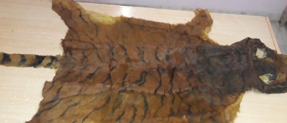 Four held for selling fake tiger skin