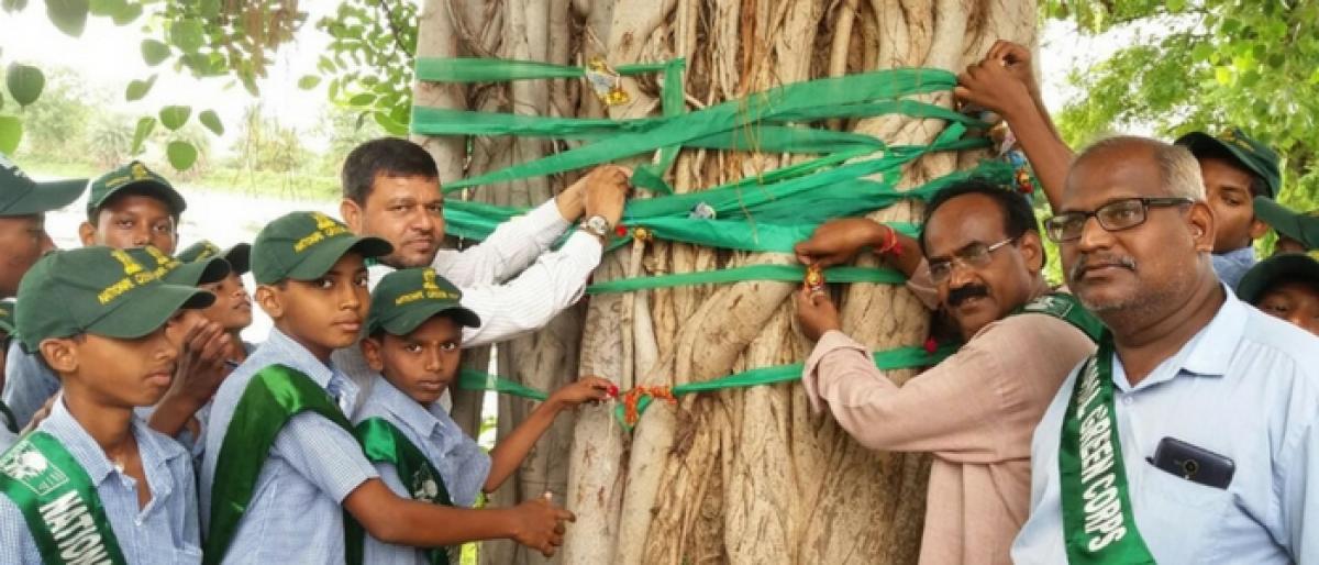 Green Corps tie rakhi to trees