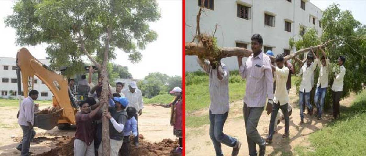 Vata relocates trees on boys college