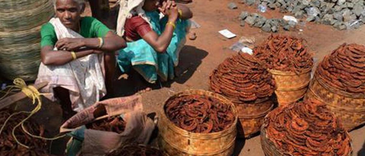 Tribals dispose of tamarind for a song