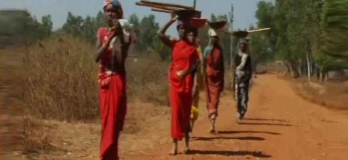 Tribal village in Chhattisgarh takes up community farming