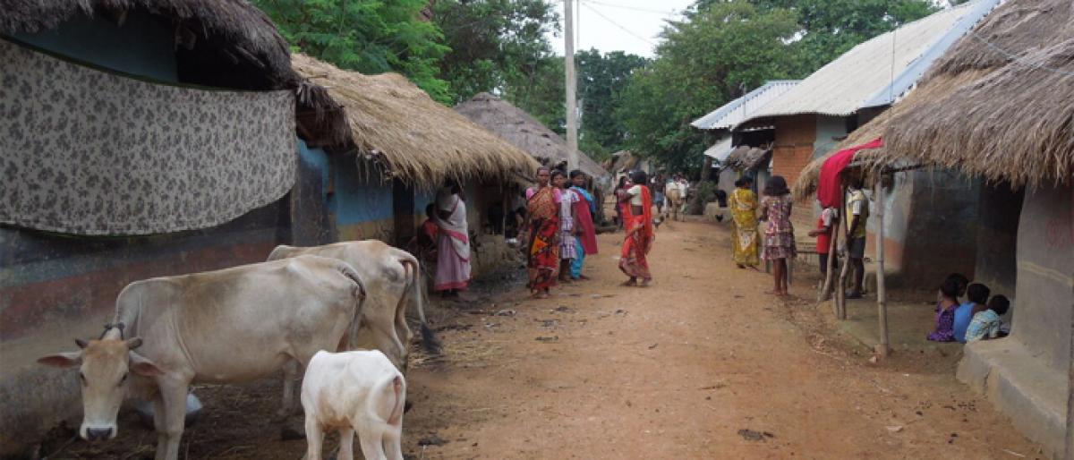 65 tribal habitations to get Gram Panchayat tag