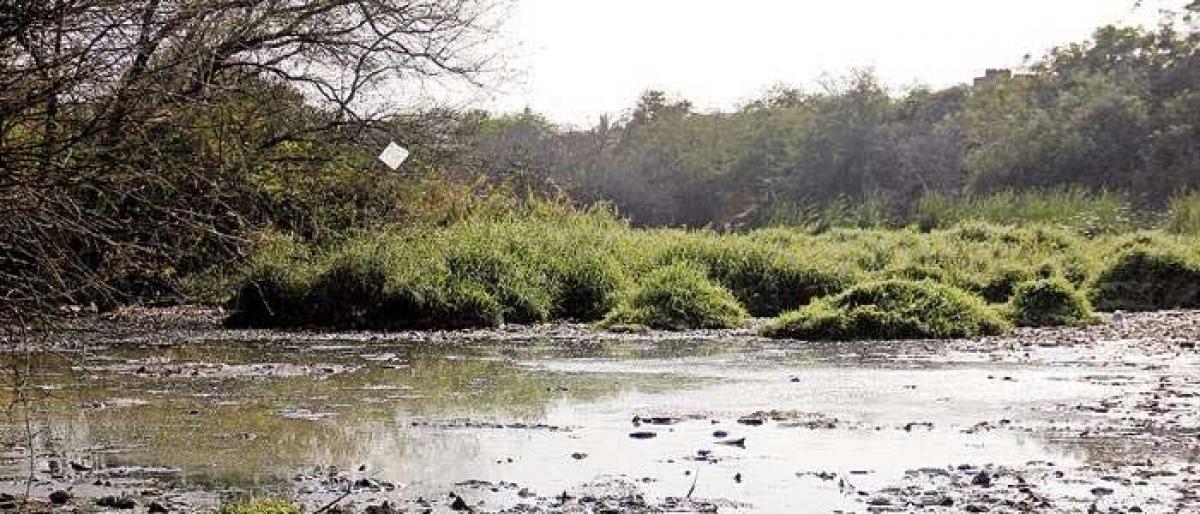 Finally, Trimulgherry Lake to get salvation