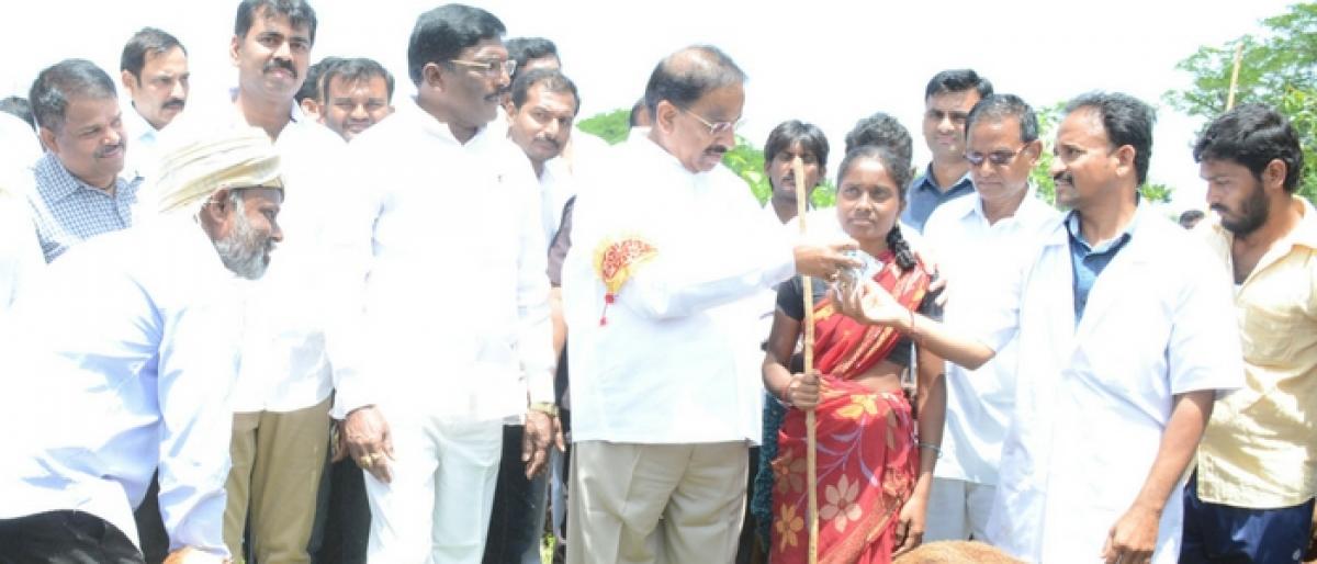 Drinking water to all households by next Ugadi: Tummala