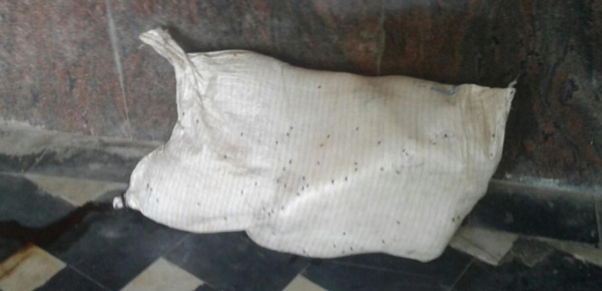 Woman’s body found at Tuni Railway Station