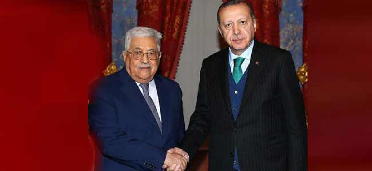 Turkish president meets Palestinian counterpart in Istanbul