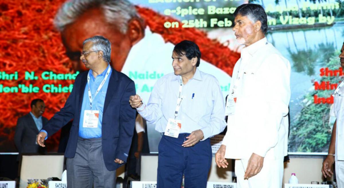 AP bets big on e-Spice Bazaar