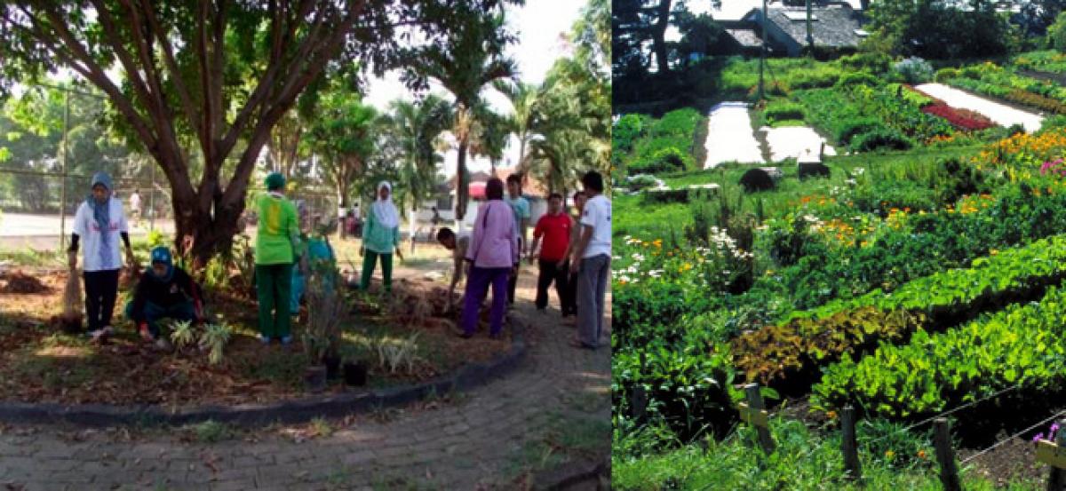73 Urban local bodies to participate in Urban Green Day on Oct 12