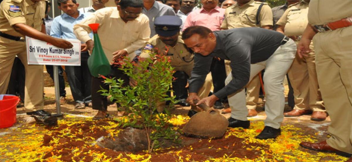Telangana Prisons Department conducts 4th phase of Haritha Haram