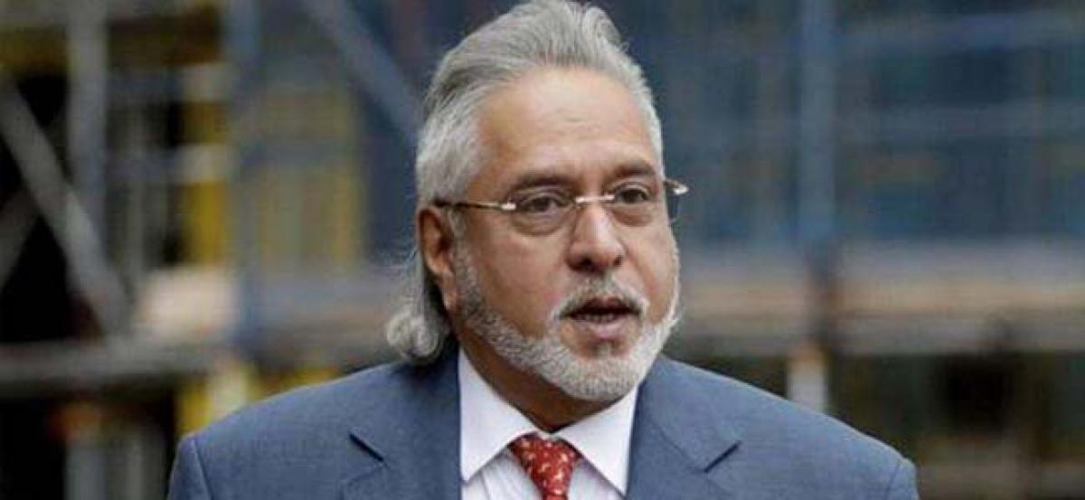 Judge to decide: Mallya on India arrival