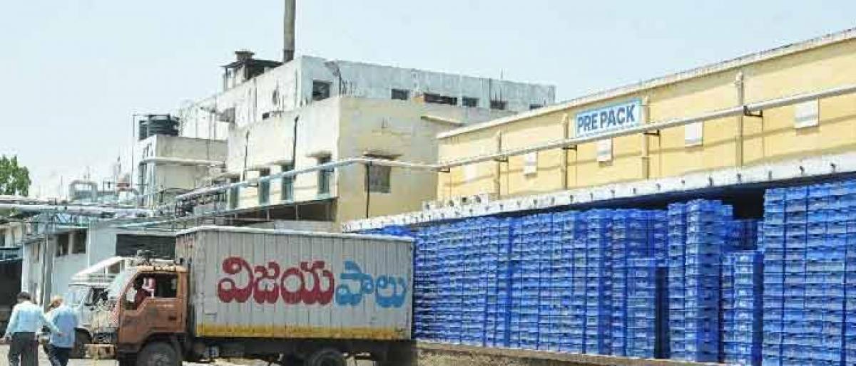 vijaya dairy business plan