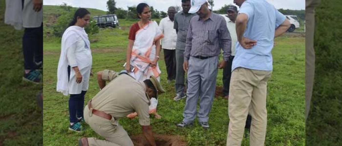 Vikarabad Collector plants saplings