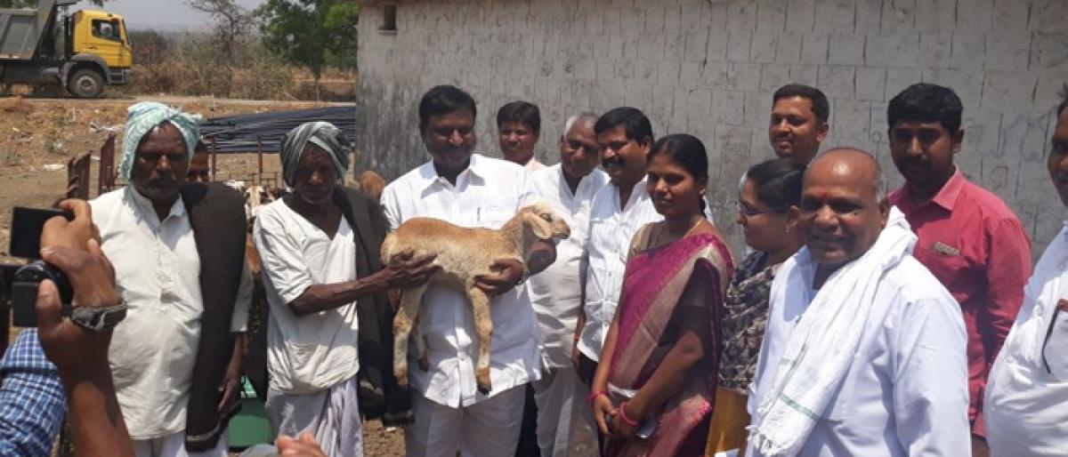 Sheep units distributed among beneficiaries Vikarabad district