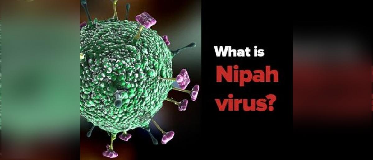 What is Nipah virus?