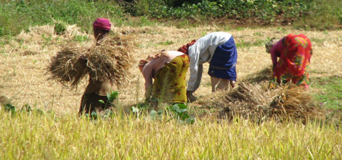 Cliched images of women farmers and their subjugation by market forces