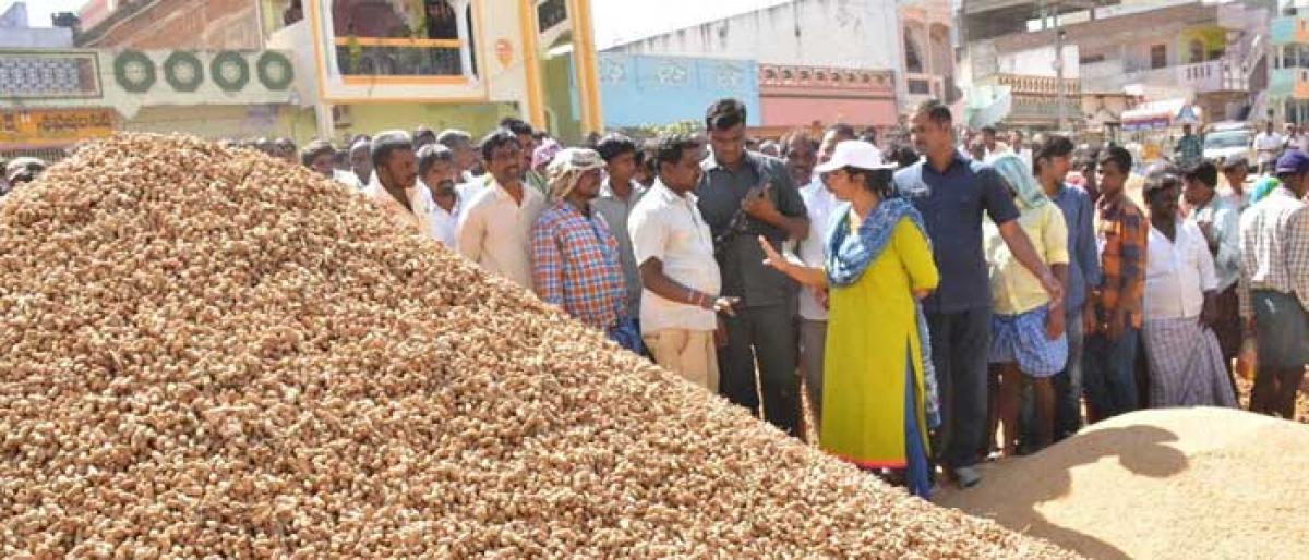 Collector calls for resolving farmers issues at market yard