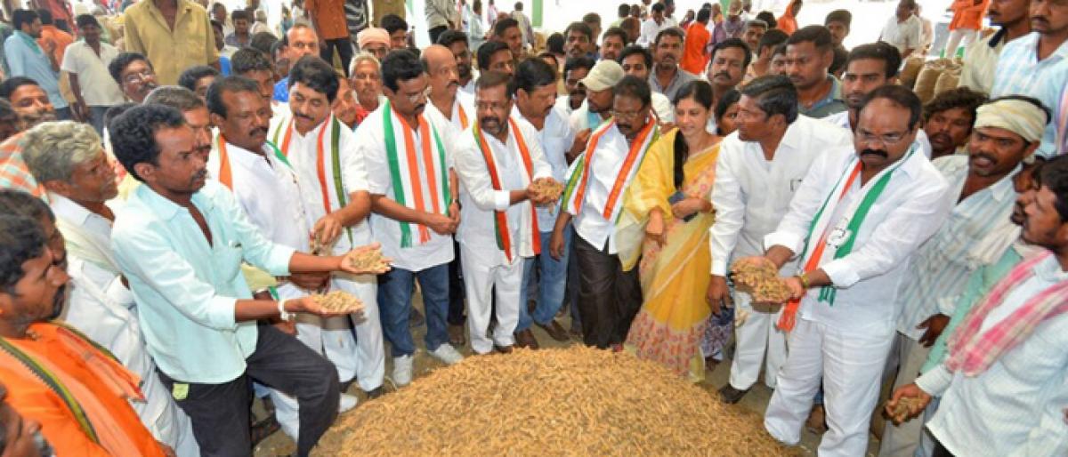 Congress demands relief to rain-hit farmers