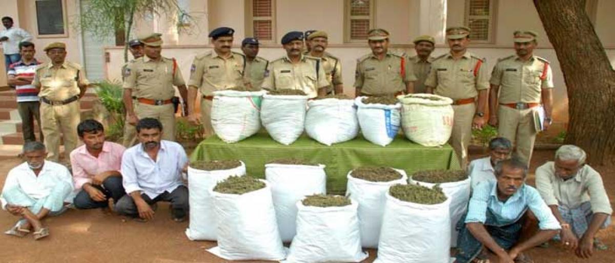 101 kg ganja seized;six arrested in raid