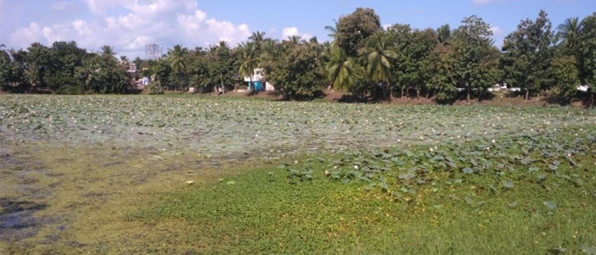 People jittery over contaminated water supply in Bhimavaram