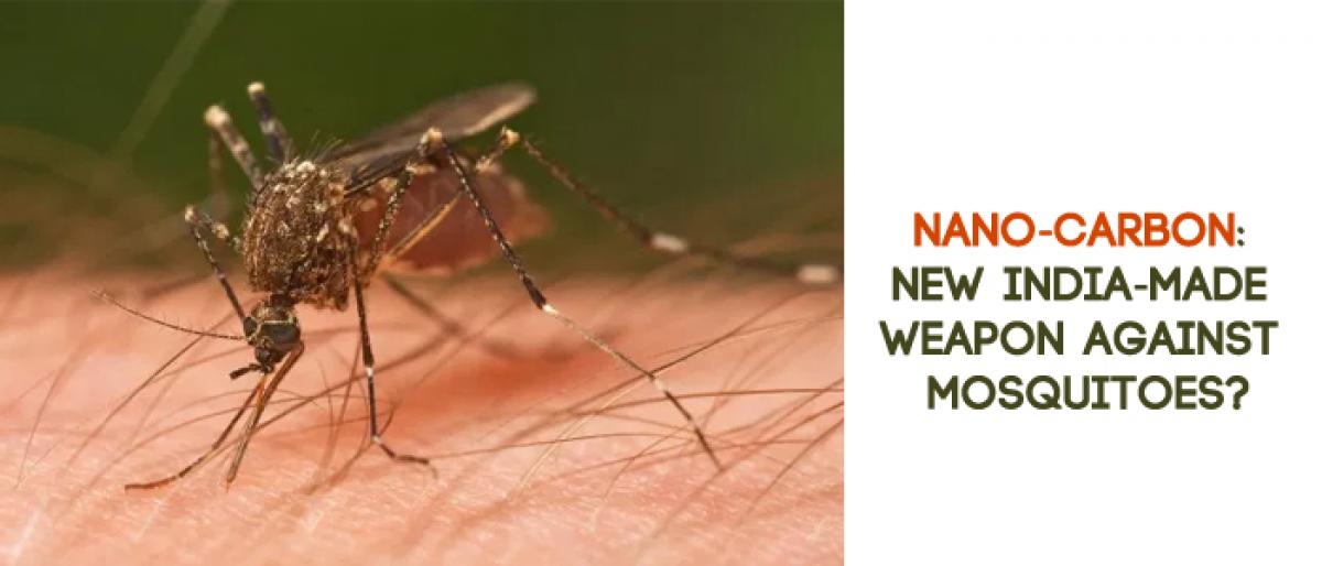 Nano-carbon: New India-made weapon against mosquitoes?