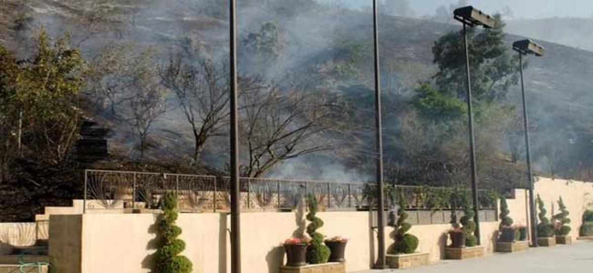 Wildfires scorch homes in LAs affluent neighbourhood
