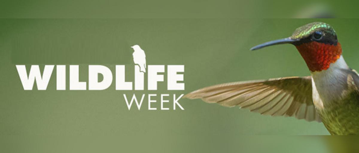 Wildlife Week observed at Srikakulam