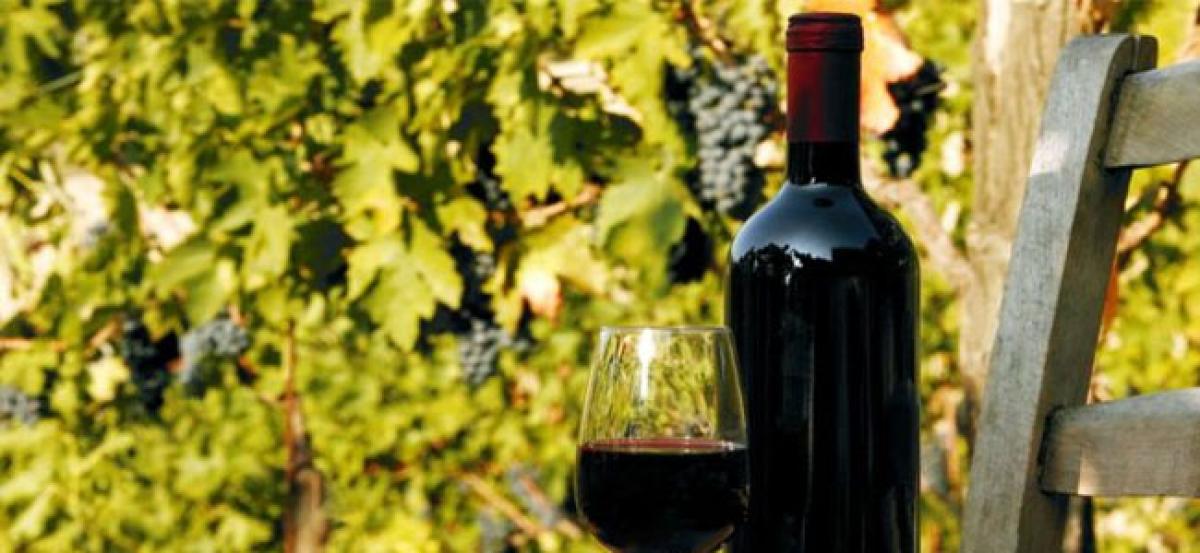 Global wine production expected to hit 50 year low