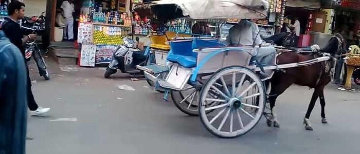 Yadadri horse cart owners in turbulent times