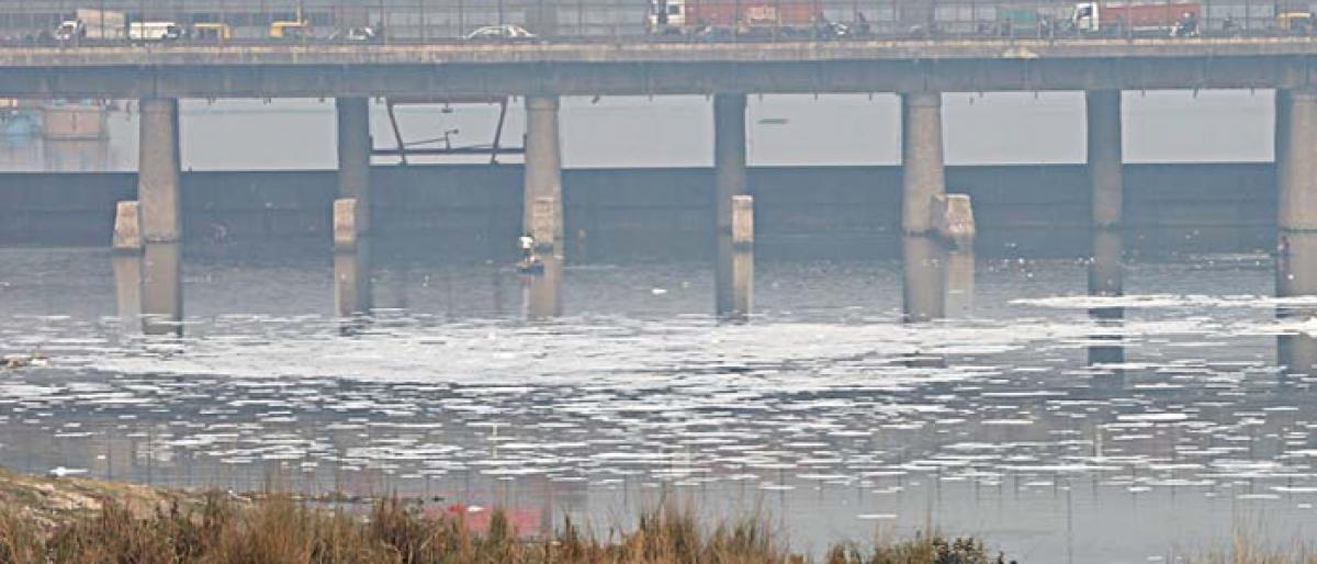 High-levels of ammonia in Yamuna : DJB withdraws plea in NGT