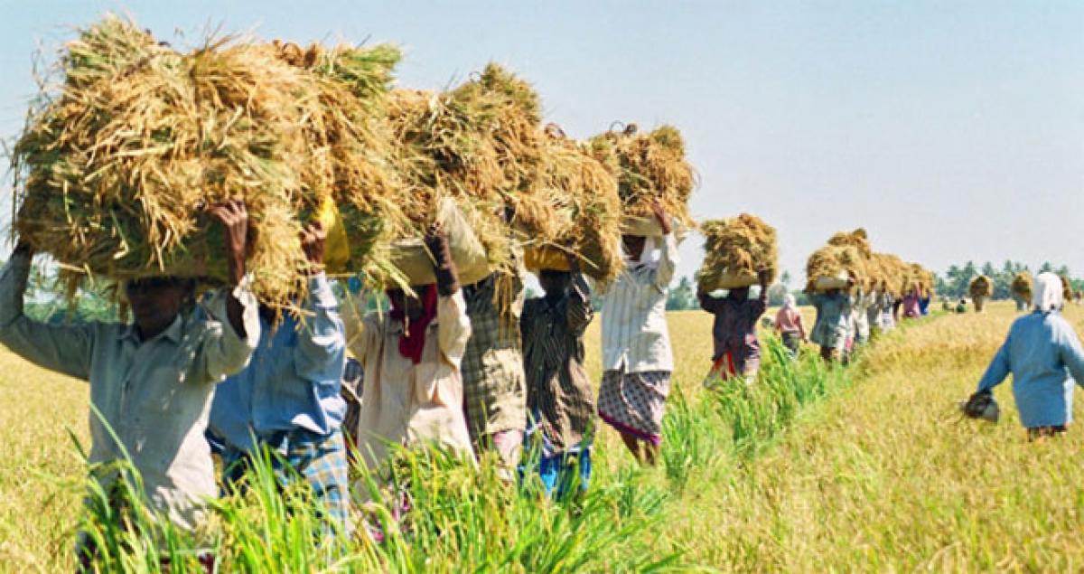 Women showcase variety of products of Zero Budget Natural Farming