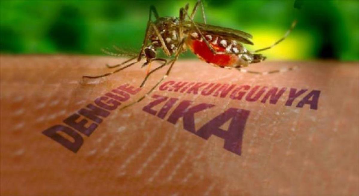 Early warning system to predict spread of Zika, Dengue and Chikungunya