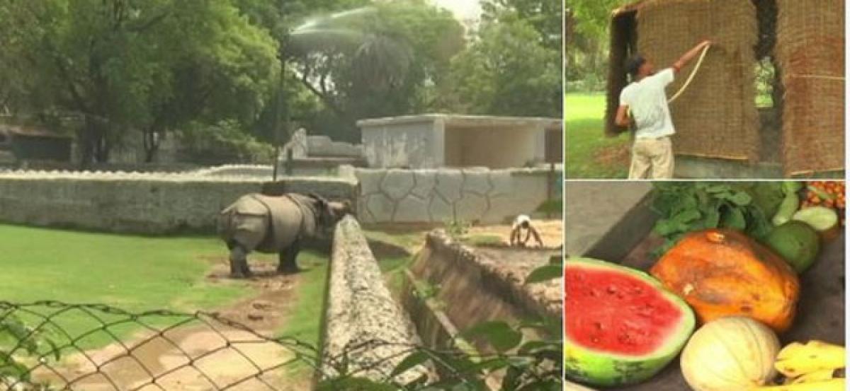 Special arrangement in Kanpur Zoo to beat scorching heat wave