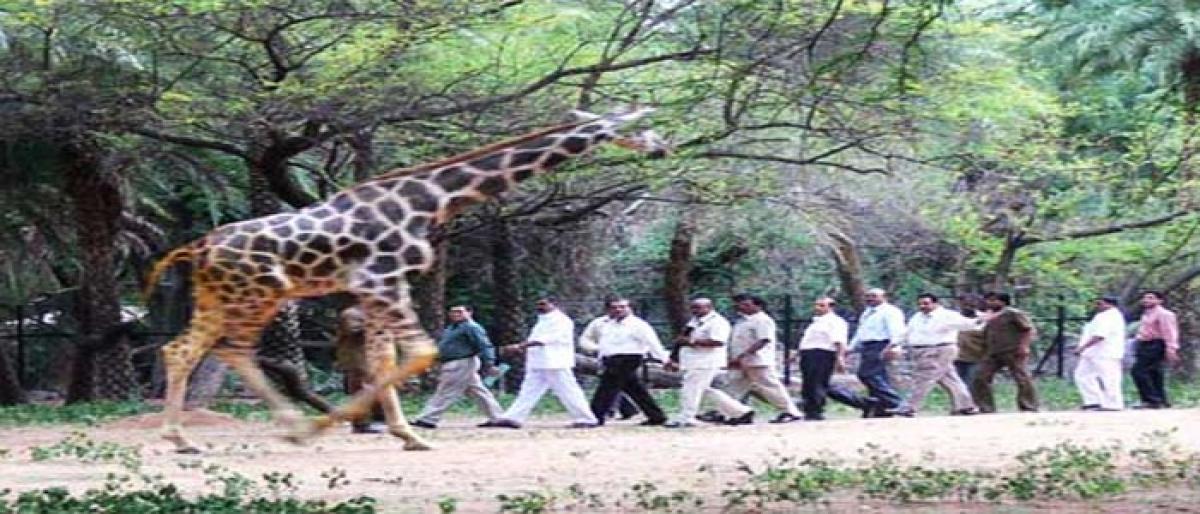 Reptile House is  ‘Best Enclosure’ at zoo